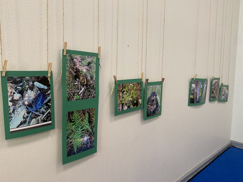 Die Collage mit eigenen Naturfotos schmückt jetzt den Kita-Raum © Städt. Tageseinrichtung für Kinder „Falkenberg“